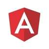 Angular JS